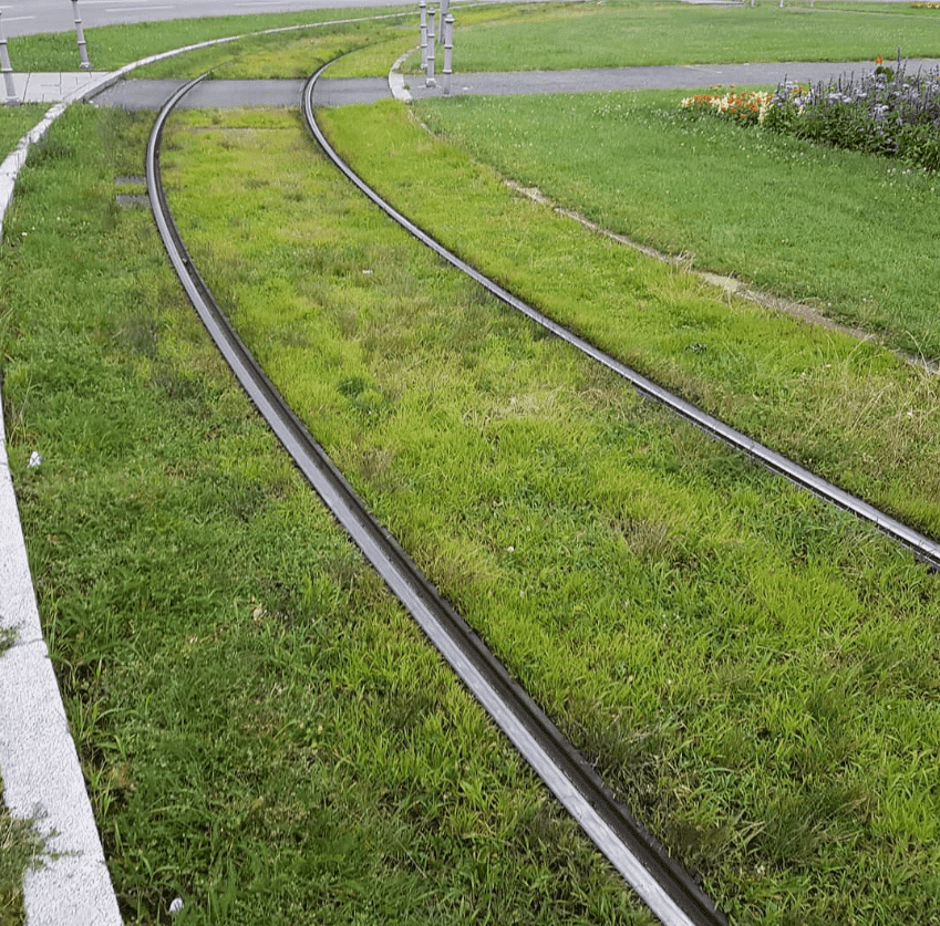 Leuchtend grüner Rasen zwischen Straßenbahnschienen