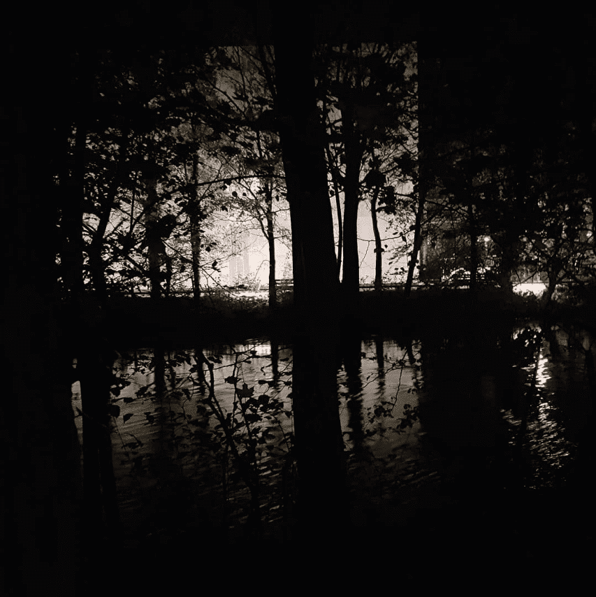 Bäume spiegeln sich im Wasser, Nachtstimmung.