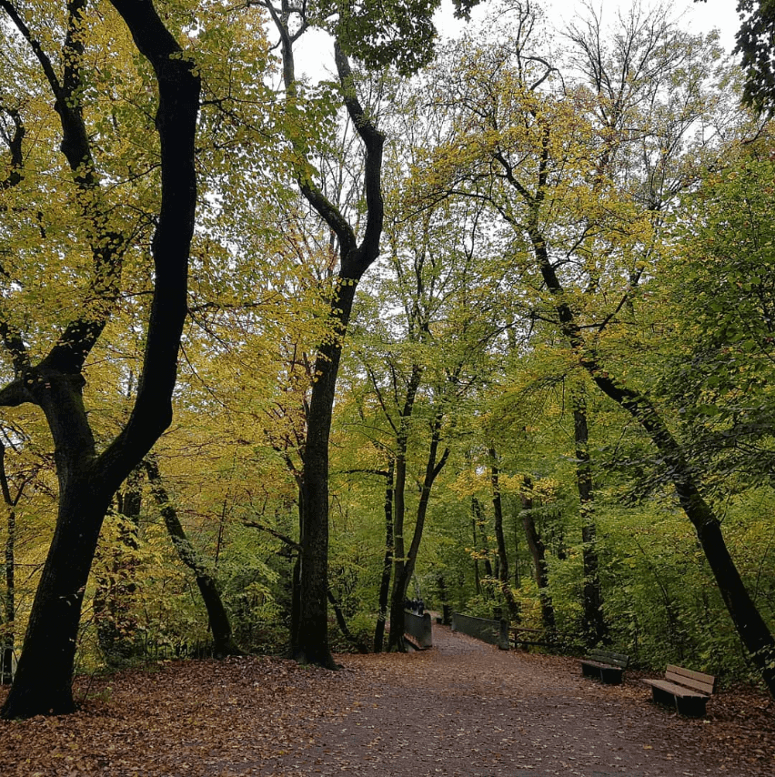 Weg am Isarufer entlang, zwischen Bäumen.