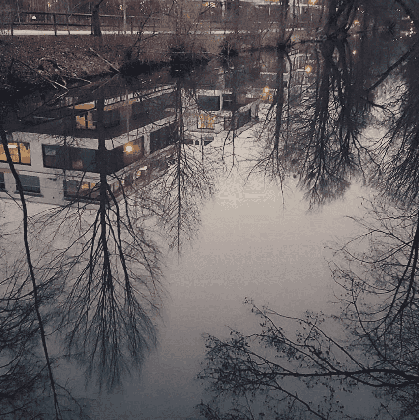 Spiegelung von Wohnhäusern und blattlosen Bäumen im Wasser.